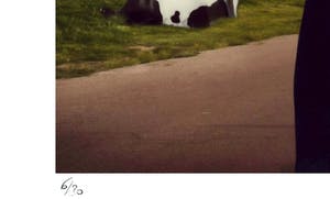 Mr. Strange - Attention aux vaches kopen? Bied vanaf 50!