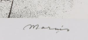 Marius van Beek - Zeefdruk uit de serie Poort van de Zon, De Poort by Gabriel Metsu kopen? Bied vanaf 1!