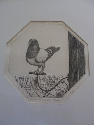 Erna van Mondfrans - Ets. Titel,"Een duifje in balans". kopen? Bied vanaf 30!