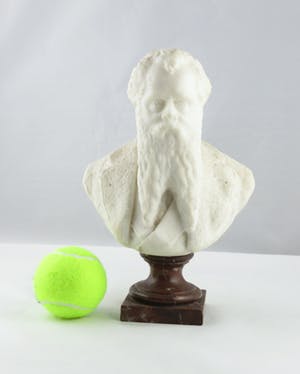 Niet of onleesbaar gesigneerd - Marmer, Buste man met baard kopen? Bied vanaf 1!