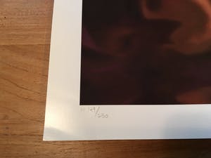 Steve Bloom - Red Hot kopen? Bied vanaf 100!