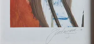 Jan Radersma - Gemengde techniek op papier - Ingelijst. kopen? Bied vanaf 50!