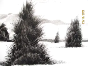 Ari Stolk - Vogel in vlucht (sperwer) kopen? Bied vanaf 45!