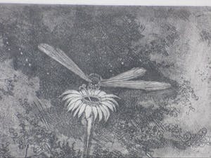 Etie van Rees - De Aarde - Ets kopen? Bied vanaf 40!