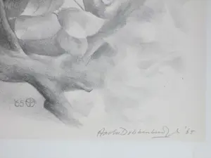 Aart van Dobbenburgh - Kakatoe - Litho kopen? Bied vanaf 50!