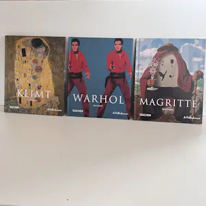 Diverse kunstenaars - Kunstboeken -Taschen / De Volkskrant - Encyclopedie Moderne Meesters - 2010 kopen? Bied vanaf 85!