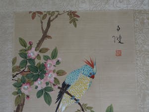 Niet of onleesbaar gesigneerd - Ingelijste aquarel op zijde, Japan? China? , Papagaai kopen? Bied vanaf 1!