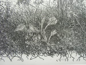 Willem Minderman - WILDE PLANTEN EN KASTEEL kopen? Bied vanaf 60!