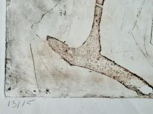 Cees Kortlang - Grote handgekleurde reliëf Ets/aquatint - potloodges. - zeer kleine oplage (15) kopen? Bied vanaf 59!