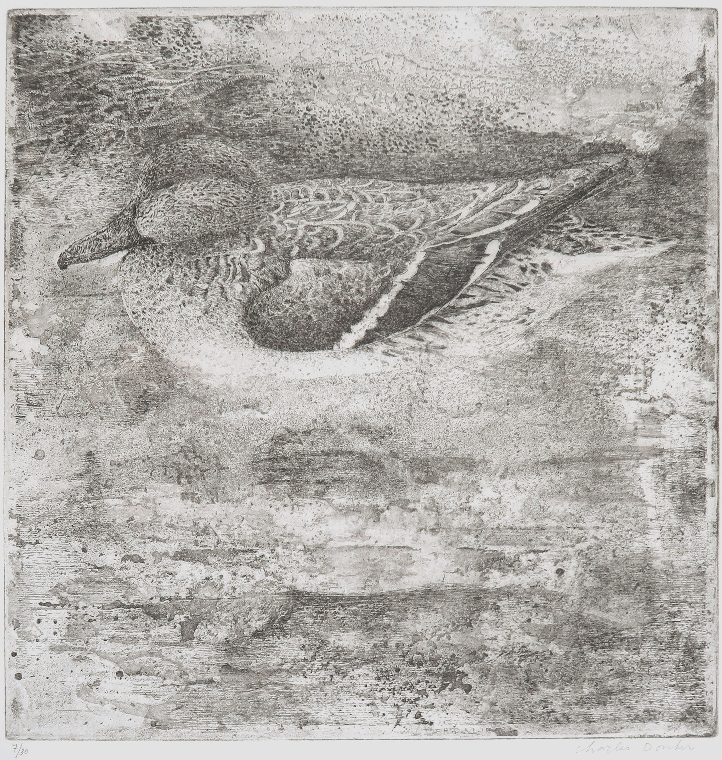 Charles Donker - Ets, Wintertaling - Ingelijst kopen? Bied vanaf 120!