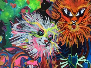 Zippora Sahanaja - Krankzinnige katten kopen? Bied vanaf 10!