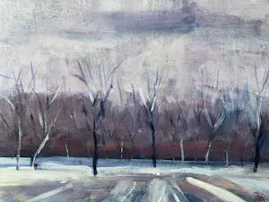 Theo Onnes - Winters landschap kopen? Bied vanaf 120!