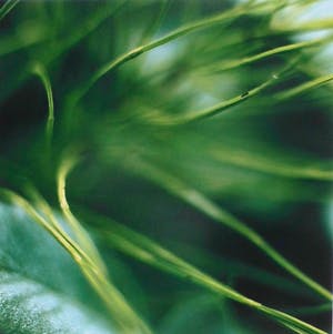 Paul den Hollander - Zonder titel kopen? Bied vanaf 150!