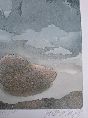 Sjoerd Bakker - Onbekend kopen? Bied vanaf 40!