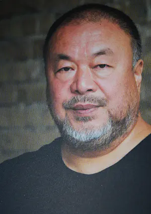 Ai Weiwei - memoires + Zao Wou Ki + 2 anderen Chinese kunst kopen? Bied vanaf 65!