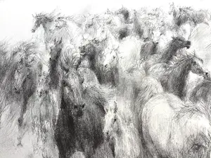 Piet Klaasse - Paarden, proefdrukken offsetlitho, 2-zijdig bedrukt, gesigneerd in druk kopen? Bied vanaf 25!