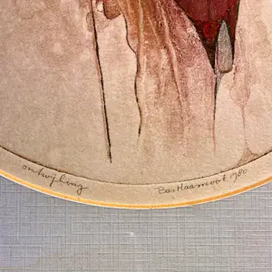 Bas Haasnoot - Ontwijking kopen? Bied vanaf 40!