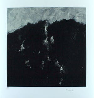 Armando - Waldrand! Giclee op katoenpapier. kopen? Bied vanaf 99!