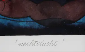 Hollie Witteveen - Nachtvlucht kopen? Bied vanaf 25!