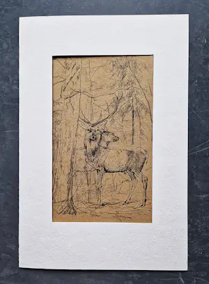 A. van der Brugghen - 19e eeuwse Aquarel (stiertje) en 2 tekeningen (vechtende)Herten - monogram kopen? Bied vanaf 68!