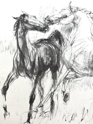Piet Klaasse - Paarden, proefdrukken offsetlitho, 2-zijdig bedrukt, gesigneerd in druk kopen? Bied vanaf 25!