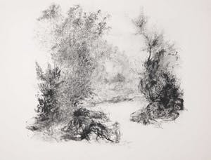 Jaap Kruijff - Litho, z.t. Bomen en struikgewas kopen? Bied vanaf 1!