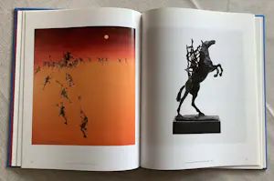 Ronald Tolman - Paarden en Maskers kopen? Bied vanaf 40!