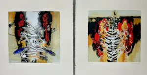 Hans Vanhorck - Lot van 2 zeefdrukken kopen? Bied vanaf 33!