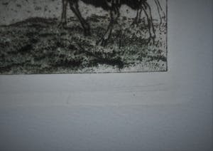 Tjeerd Bottema - Schaapskooi bij Ede - Ingelijste kleurets & aquatint - Incl.kunstboek Mijn Leven kopen? Bied vanaf 65!