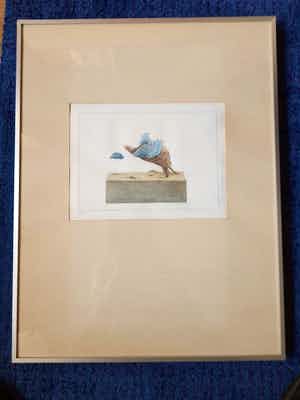 Anke Engelse - Gevleugelde schildpad verkocht voor € 50!