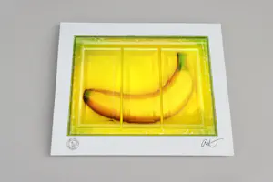 Dominic Rouse - 'Bananentriptiek' (2013) kopen? Bied vanaf 110!