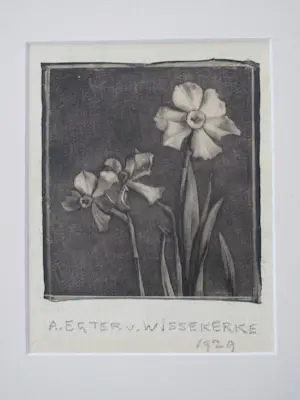 Anna Egter van Wissekerke - narcissen kopen? Bied vanaf 50!