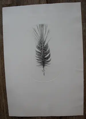 Gerard van Rooy - Ets: fazantveer - 1978 kopen? Bied vanaf 10!