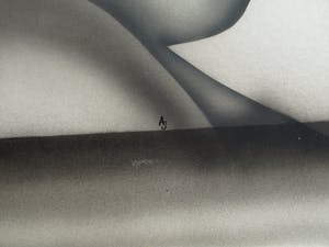 Niet of onleesbaar gesigneerd - Airbrush , Portret “I Love Cats “– ingelijst kopen? Bied vanaf 1!