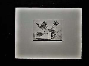 Herman Berserik - Karakteristiek Grafiek - Ets - "Opwind-eend" kleine oplage - potloodgesigneerd kopen? Bied vanaf 30!