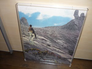 Panamarenko - Knikkebeen kopen? Bied vanaf 625!