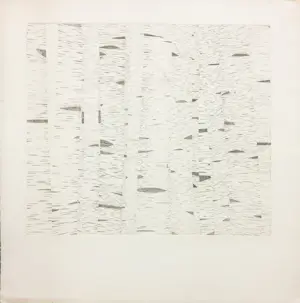 Geertjan van Oostende - Lot van drie etsen kopen? Bied vanaf 35!