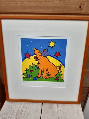 Shunyam - Onbekend kopen? Bied vanaf 40!