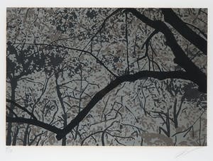 Jan Hendrix - Zeefdruk, Z.T. Takken - Ingelijst kopen? Bied vanaf 50!