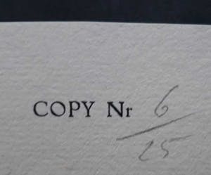 Reinhoud D'Haese - ets / aquatint, handgesigneerd, oplage 25 stuks, ingelijst kopen? Bied vanaf 60!