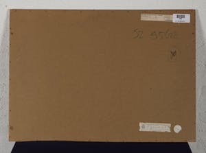 Francesca Sannes - Val op de vlucht - 1975 - inkt en krijt op papier - BKR Den Haag kopen? Bied vanaf 20!