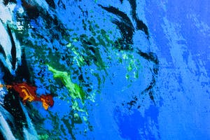 Mattie Schilders - Oorsprong van elk leven kopen? Bied vanaf 1!