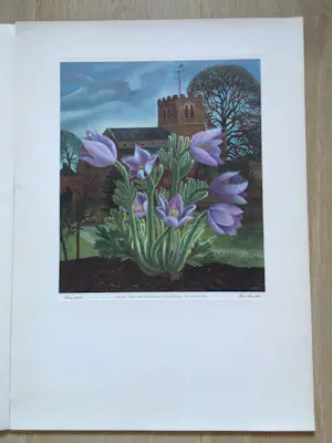 Eppo Doeve - Flower Prints from the Whitbread Calendar 1955 kopen? Bied vanaf 30!