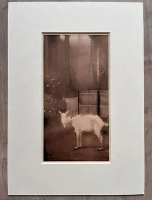 Jan Mankes - Originele Heliogravure Oude Geit 1923 kopen? Bied vanaf 165!