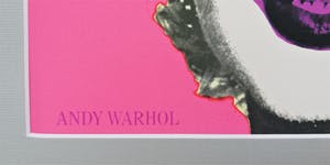 Andy Warhol - Pink Marilyn, 1981 kopen? Bied vanaf 3899!
