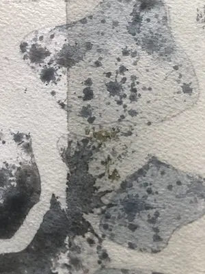 Kees Franse - Aquarel kopen? Bied vanaf 59!