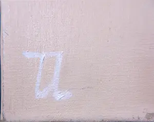 Tonny Lansdaal - Olieverf op doek, Cactus kopen? Bied vanaf 1!