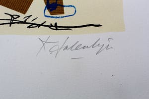 Kees Salentijn - zeefdruk -1997 kopen? Bied vanaf 55!