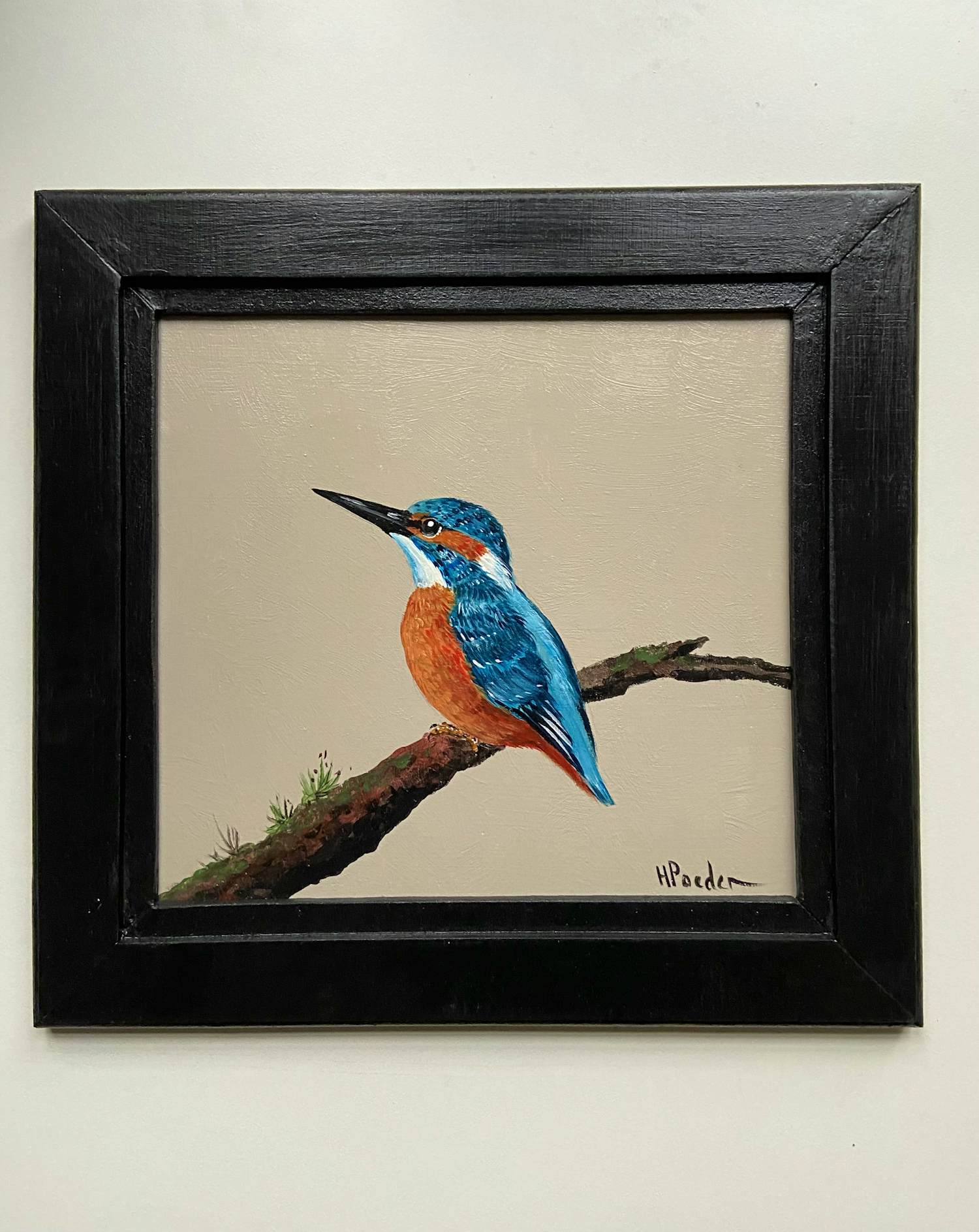 AcheterHenk Poeder - IJsvogel? Enchérissez de 149!