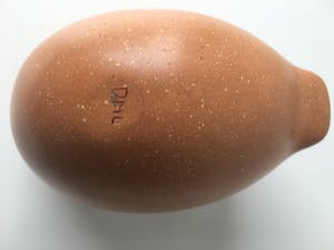 Deirdre MacLoughlin - uniek object uit de serie I AM TOO kopen? Bied vanaf 200!